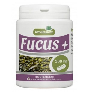RENAISSANCE Fucus + 500 mg boite 180 gélules
