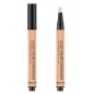 ABSOLUTE NEW YORK click cover concealer Light Yellow Undertone