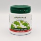 PROPHAR- Ginkgo Biloba B100 gélules