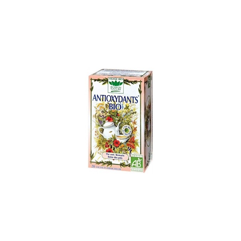 ROMON NATURE Anti Oxydants BIO boite 20 sachets