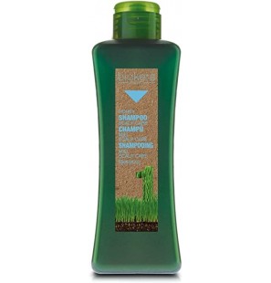 BIOKERA MIEL shampoing 1 L