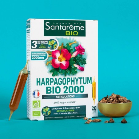 SANTAROME Harpagophytum BIO | 20 ampoules