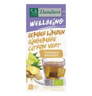 Damhert Wellbeing Thé Gingembre Citron vert BIO Boite 20 sachets