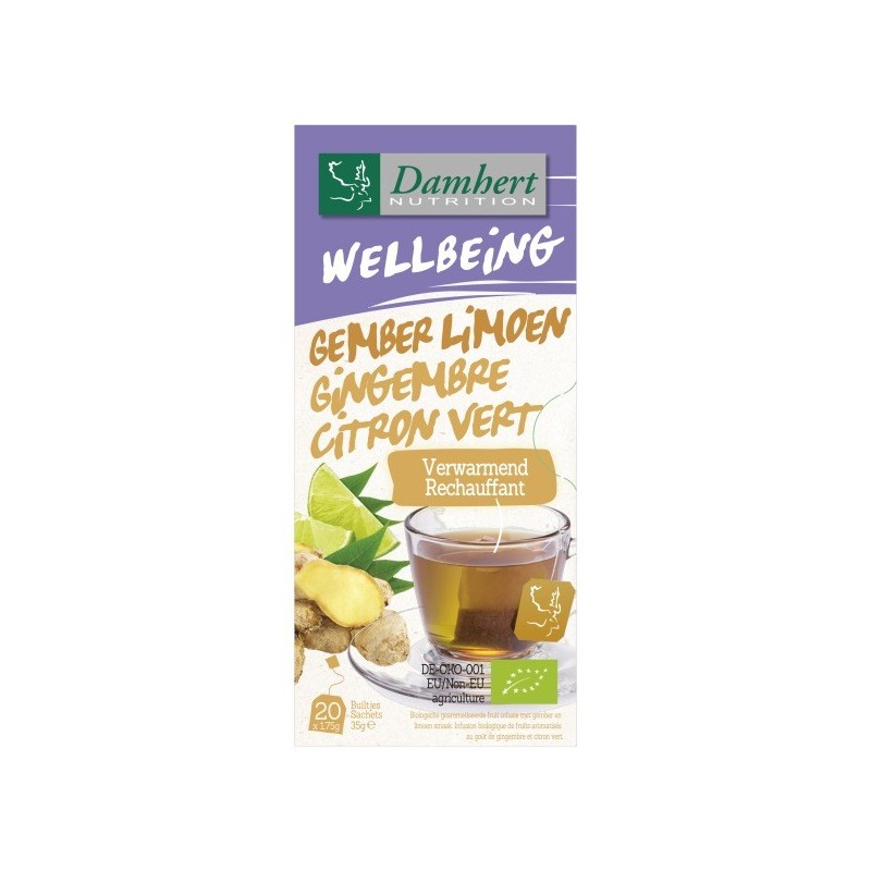 Damhert Wellbeing Thé Gingembre Citron vert BIO Boite 20 sachets