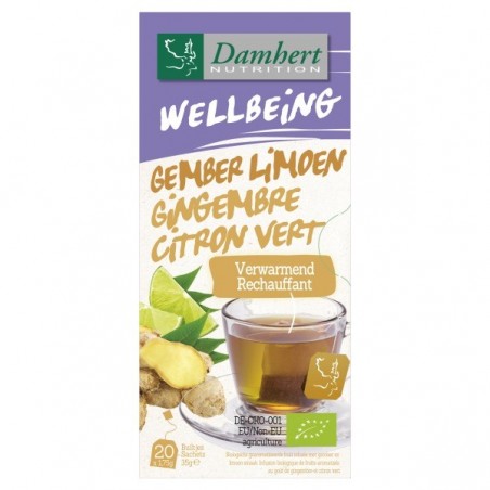 Damhert Wellbeing Thé Gingembre Citron vert BIO Boite 20 sachets