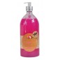 LES PETITS BAINS DE PROVENCE SURGRAS LITCHI gel douche 1L