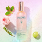 CAUDALIE Eau de Beauté 100 ml