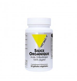 VIT'ALL+ Silice Organique 25mg boite 30 gélules végétales