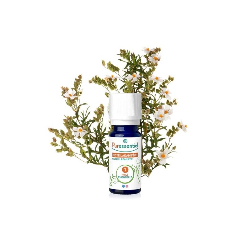 PURESSENTIEL CISTE LANADIFERE huile essentielle BIO 5 ml PURESSENTIEL CISTE LANADIFERE huile essentielle BIO 5 ml