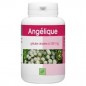 GPH DIFFUION Angélique 210 mg | 100 gélules
