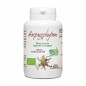 GPH DIFFUSION Harpagophytum 330 mg | 100 gélules