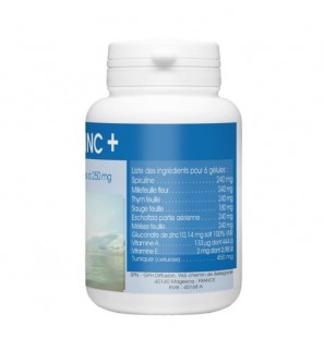 GPH DIFFUSION Menozinc 250 mg | 60 gélules