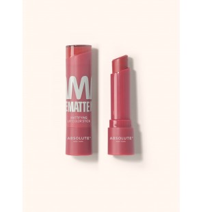 ABSOLUTE NEW YORK Lipstick matte garnet Ref MLAM07