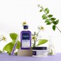 PHYTO VIOLET shampooing déjaunissant | 250ml PHYTO VIOLET shampooing déjaunissant | 250ml