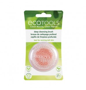 ECOTOOLS brosse de nettoyage profond