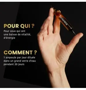 SANTAROME BIO MANUKA ROYAL GINSENG MIEL DE MANUKA B20 AMPOULES