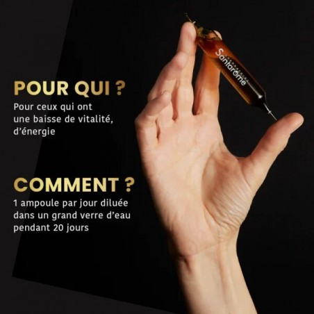 SANTAROME BIO MANUKA ROYAL GINSENG MIEL DE MANUKA B20 AMPOULES