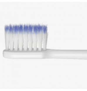 GUM RECHARGES BROSSE A DENTS ACTIVITAL SONIC B2 REF 4110