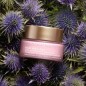 CLARINS multi-active jour gelee premieres rides antioxydante | 50ml CLARINS multi-active jour gelee premieres rides antioxydante | 50ml