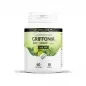 GPH GRIFFONIA extrait 5-HTP 166MG B60 gélules