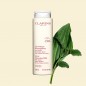 CLARINS LAIT DEMAQUILLANT VELOURS 200ML