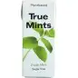 True Mints pastilles Menthe sans Sucre 13G