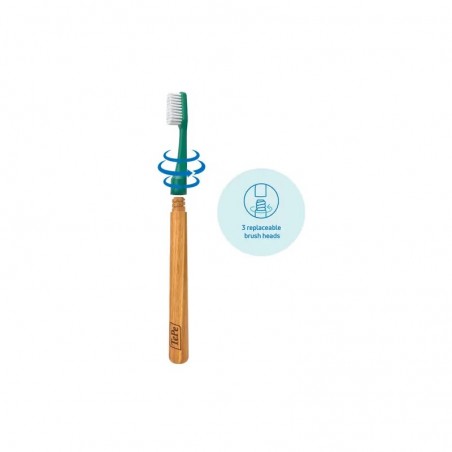 TEPE BROSSE A DENT CHOICE REGULAR SOFT