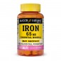 MASON NATURAL IRON 65MG B100 CAPSULES