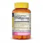 MASON NATURAL IRON 65MG B100 CAPSULES