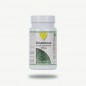 VIT'ALL+ DESMODIUM 200MG B100 CAPSULES VIT'ALL+ DESMODIUM 200MG B100 CAPSULES