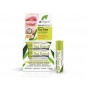 DR ORGANIC ARBRE À THÉ baume à lèvres 5.7 ML DR ORGANIC ARBRE À THÉ baume à lèvres 5.7 ML
