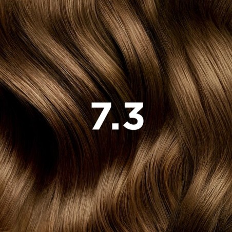 PHYTO COLOR N7.3 BLOND DORE
