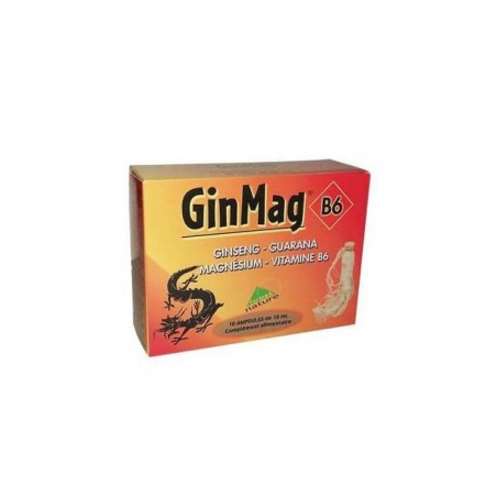 GINMAG AB B6 10ML B10 AMPOULES BUVABLES