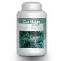 GPH DIFFUSION cartilage de requin 400 mg | 200 gélules