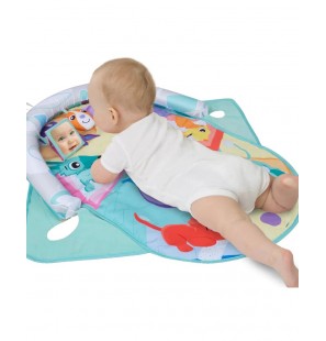 PLAYGRO tapis d'activité puppy and me activity travel gym