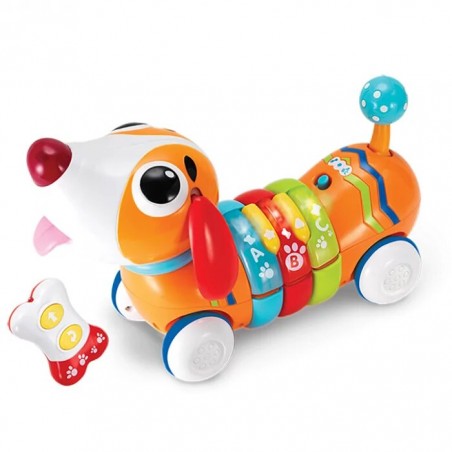 WINFUN Chien télécommandé avec Os 18 mois+