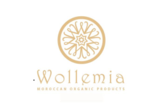 WOLLEMIA